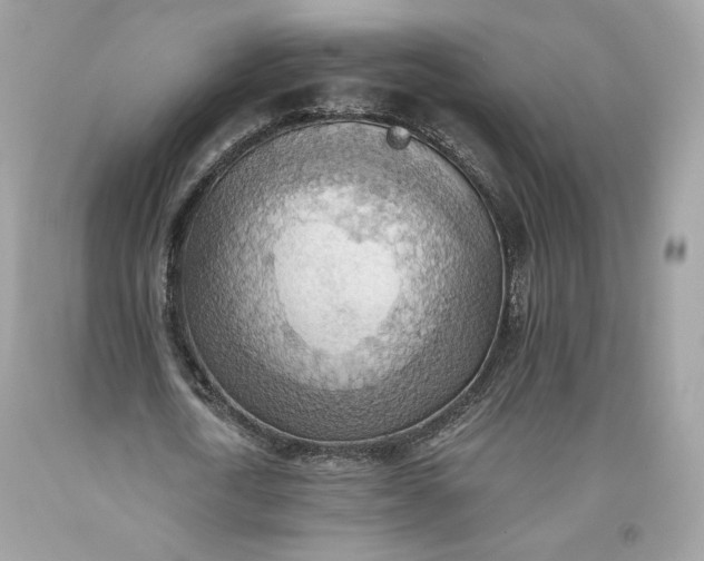 X0000093520722200710261218