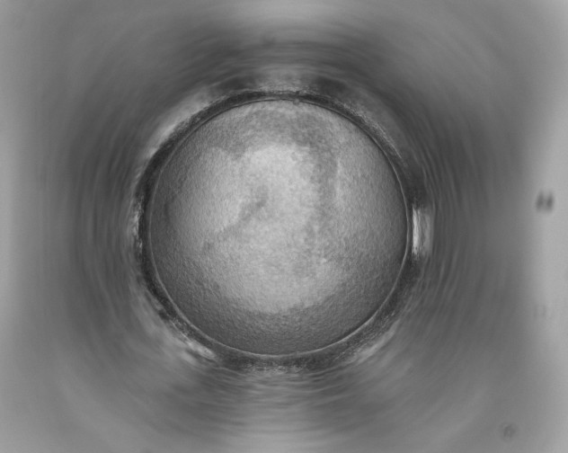 X0000093520723200710261218