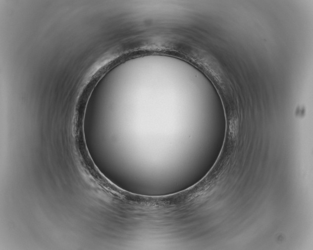 X0000093520724200710261219