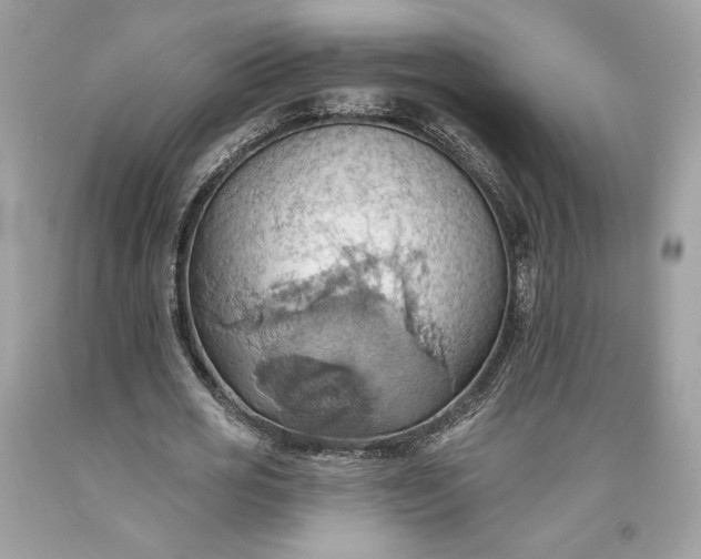 X0000093520725200710261219