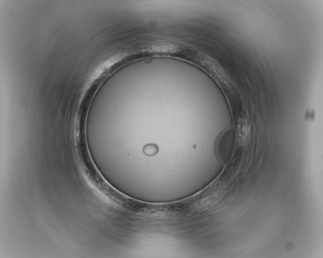 X0000093520726200710261219