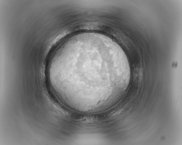 X0000093520727200710261219