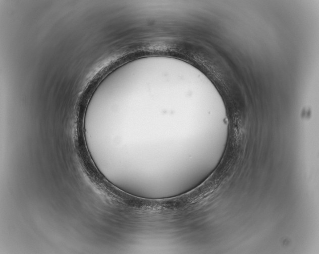 X0000093520728200710261219