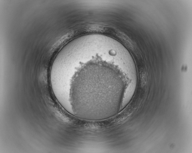 X0000093520729200710261219