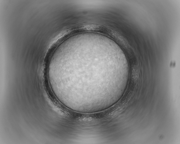 X0000093520730200710261219