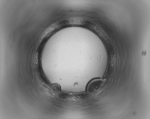 X0000093520731200710261219