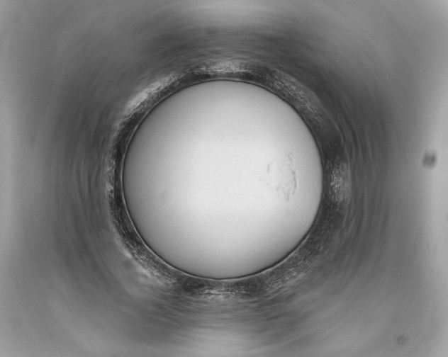 X0000093520732200710261219