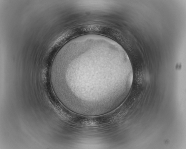 X0000093520735200710261219