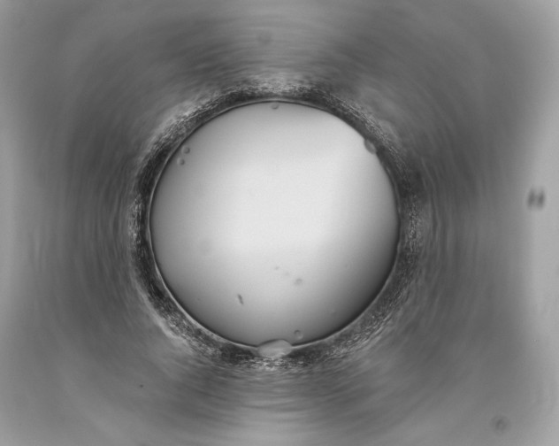 X0000093520736200710261219