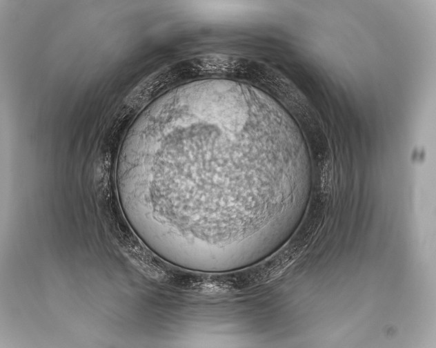 X0000093520737200710261219