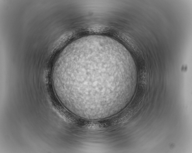 X0000093520738200710261219