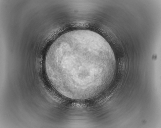 X0000093520739200710261219