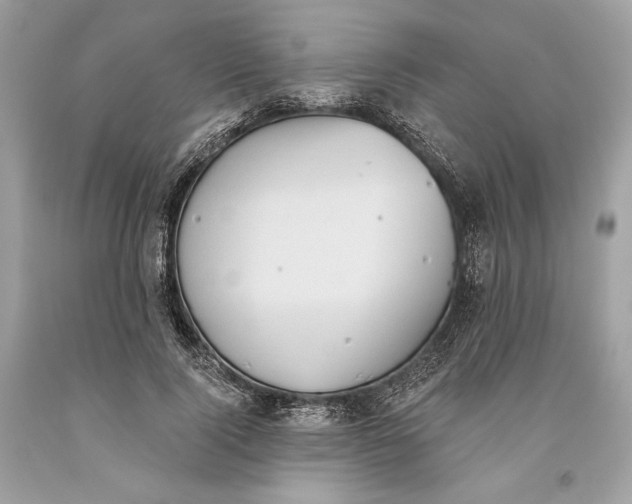 X0000093520740200710261219