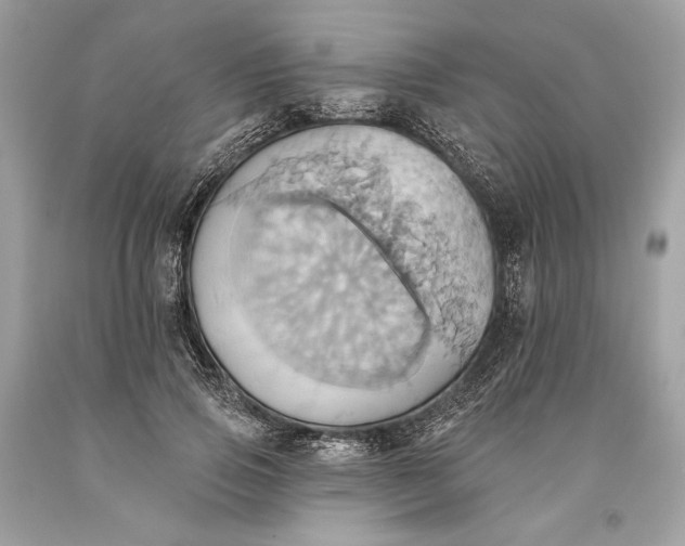 X0000093520741200710261219