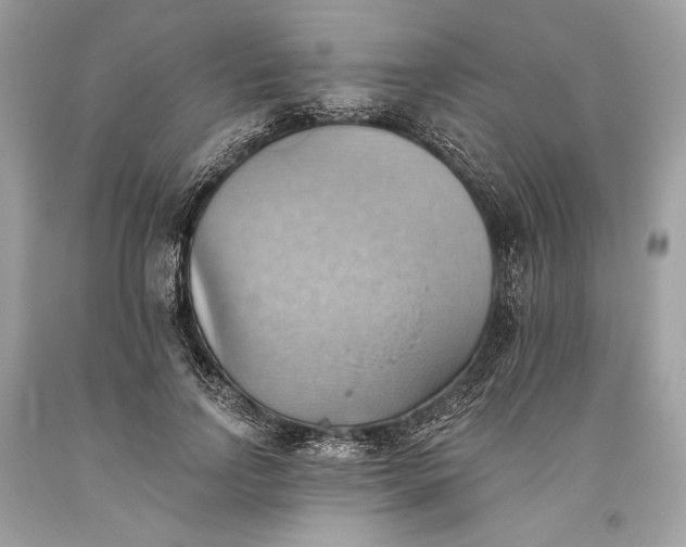 X0000093520742200710261219