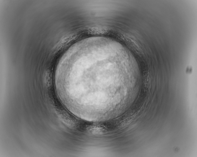 X0000093520743200710261219