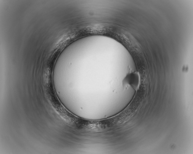 X0000093520744200710261219