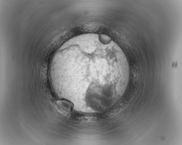 X0000093520745200710261219