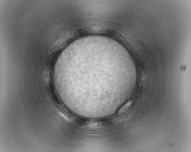 X0000093520746200710261219