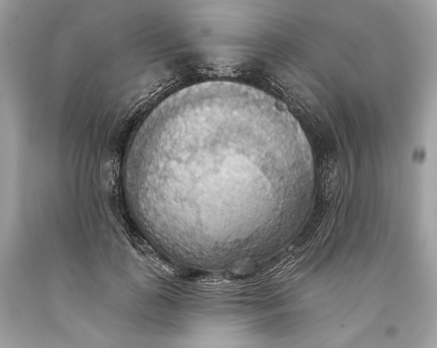 X0000093520747200710261219