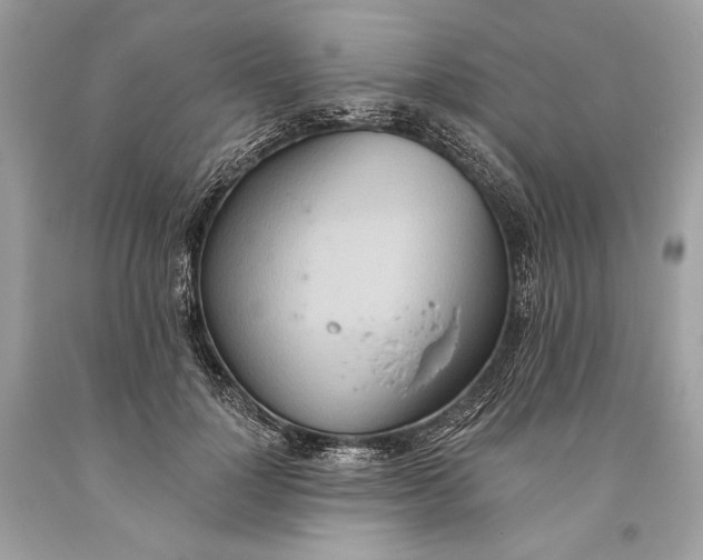 X0000093520748200710261219