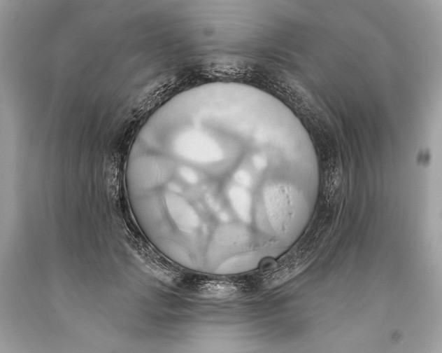 X0000093520749200710261219