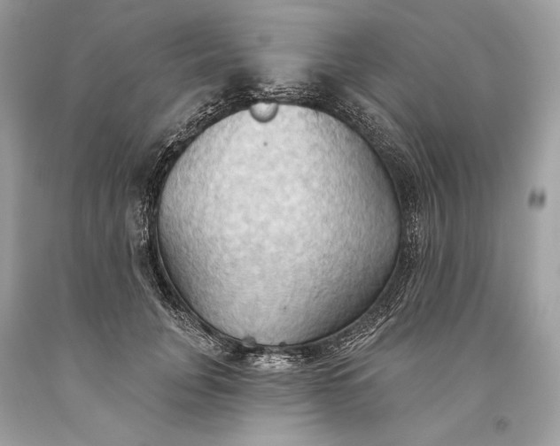 X0000093520751200710261219