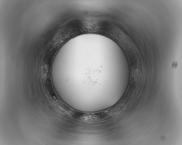 X0000093520752200710261219