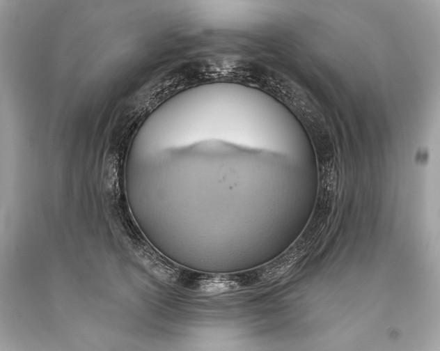 X0000093520754200710261219