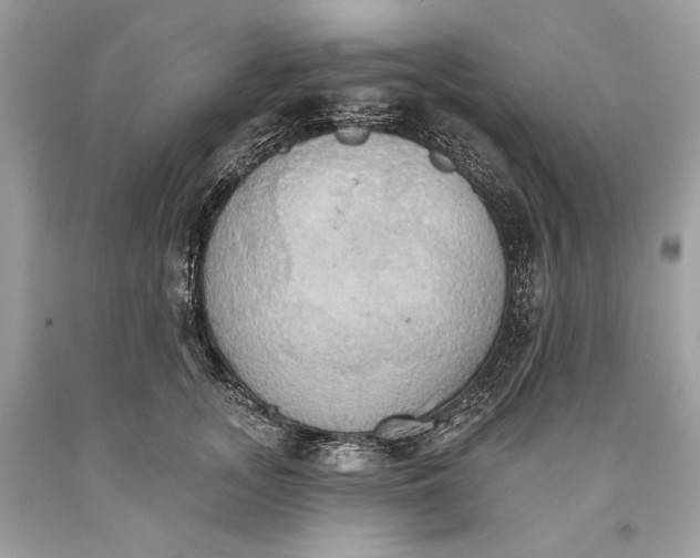 X0000093520755200710261219