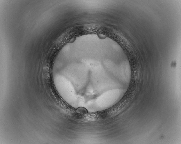 X0000093520757200710261219