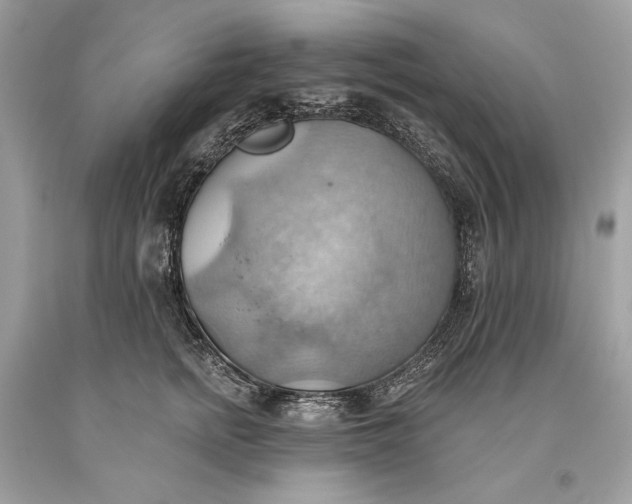 X0000093520758200710261219