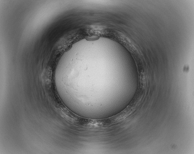 X0000093520760200710261219