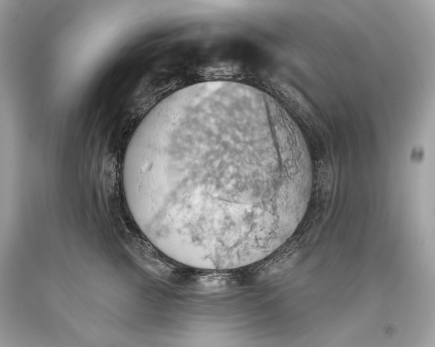 X0000093520761200710261219