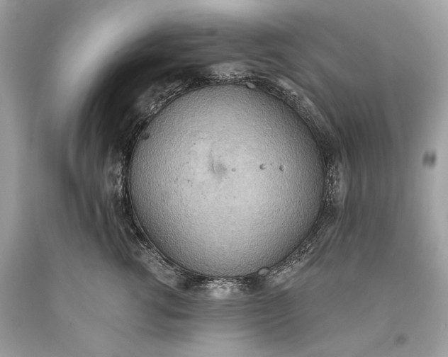 X0000093520762200710261219