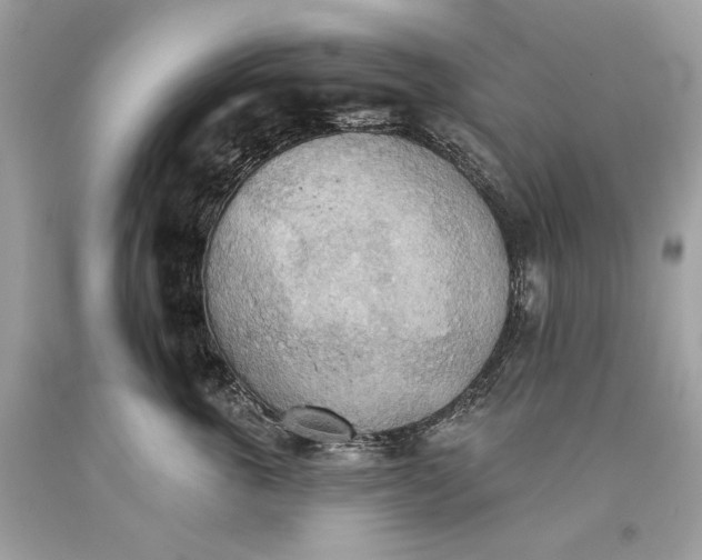 X0000093520763200710261219