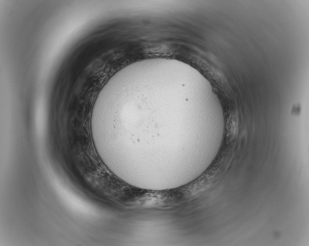 X0000093520764200710261219