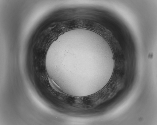 X0000093520766200710261219