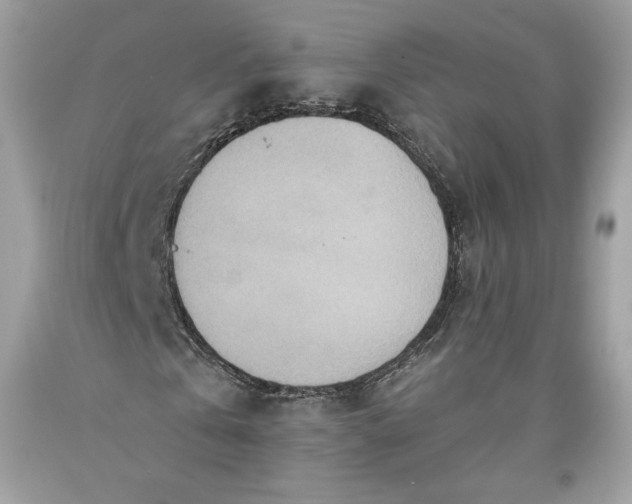 X0000093520769200710261218