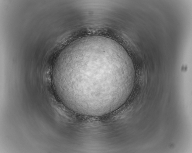 X0000093520770200710261218