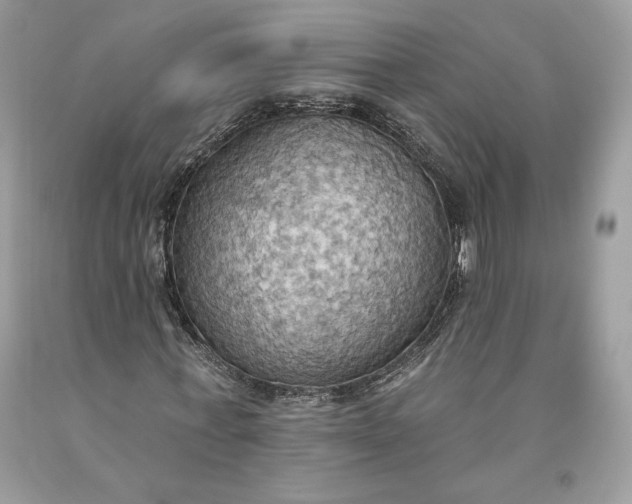 X0000093520771200710261218