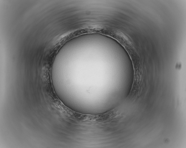 X0000093520773200710261218