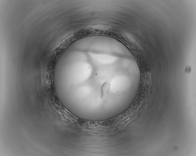 X0000093520774200710261218