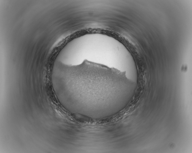 X0000093520775200710261218