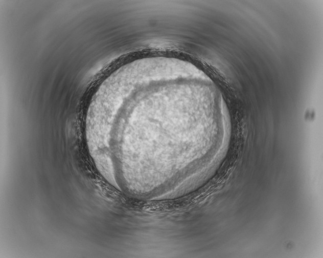 X0000093520776200710261218