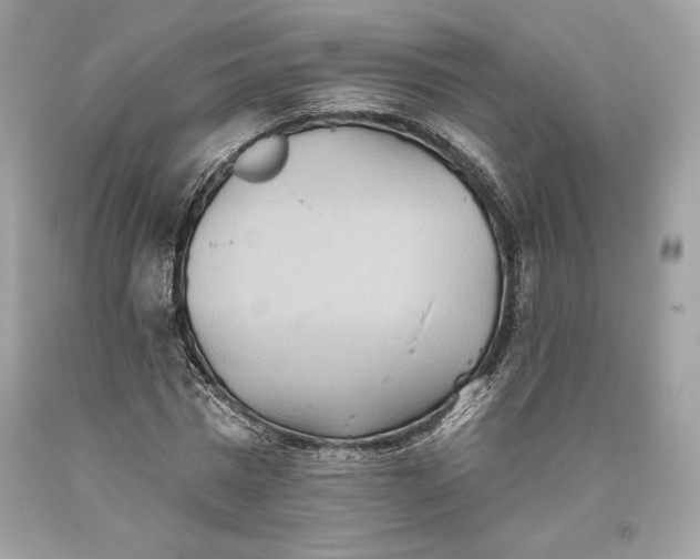 X0000093520777200710261218