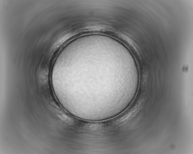 X0000093520778200710261218