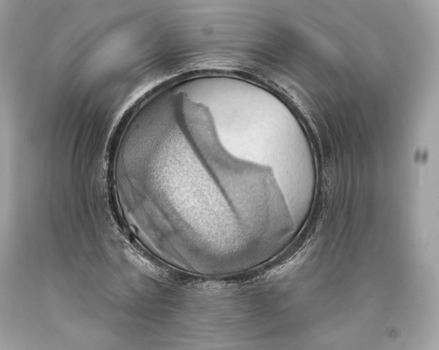 X0000093520779200710261218