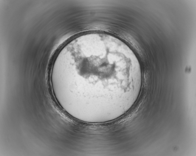 X0000093520780200710261218