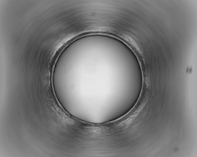 X0000093520781200710261218